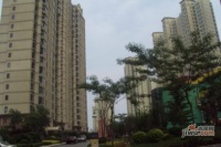 金广东海岸社区实景图图片