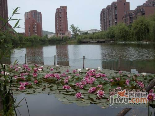 铭熙水岸一期实景图图片