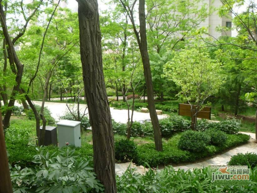 东方圣荷西实景图图片