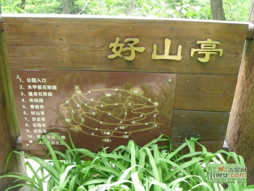 东方圣荷西实景图图片