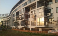 五洲国际装饰城公寓楼实景图图片