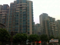 嘉禾现代城实景图图片