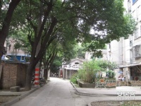 中南新村实景图19