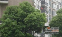 颐和湾公寓实景图图片