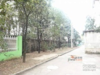 曹张新村实景图图片