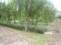 金色江南天景花园实景图图片
