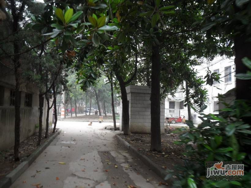 风雷新村实景图图片