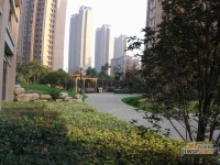 长江国际花园实景图图片