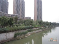 长江国际花园实景图图片