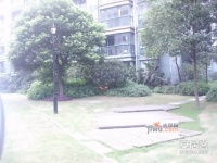 新洲花园实景图图片
