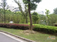 香山名园实景图图片