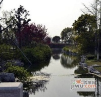 山水湖滨花园实景图图片