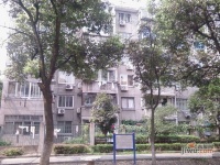 江大新村实景图图片