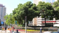 鼎球大厦实景图图片