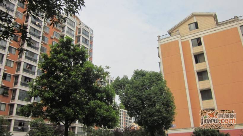 春潮花园一区实景图图片