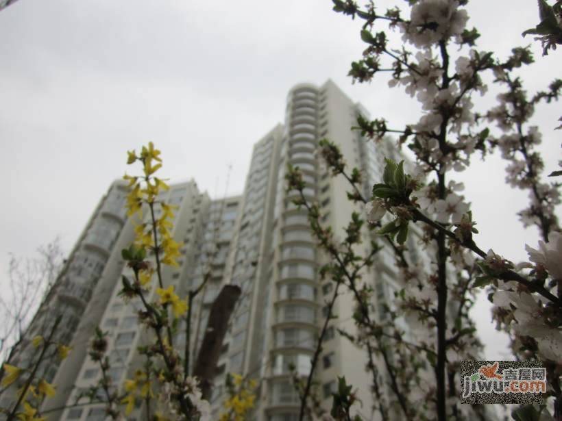 崂山国际花园实景图图片