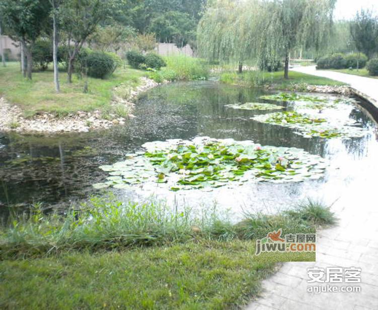 水岸绿洲实景图14