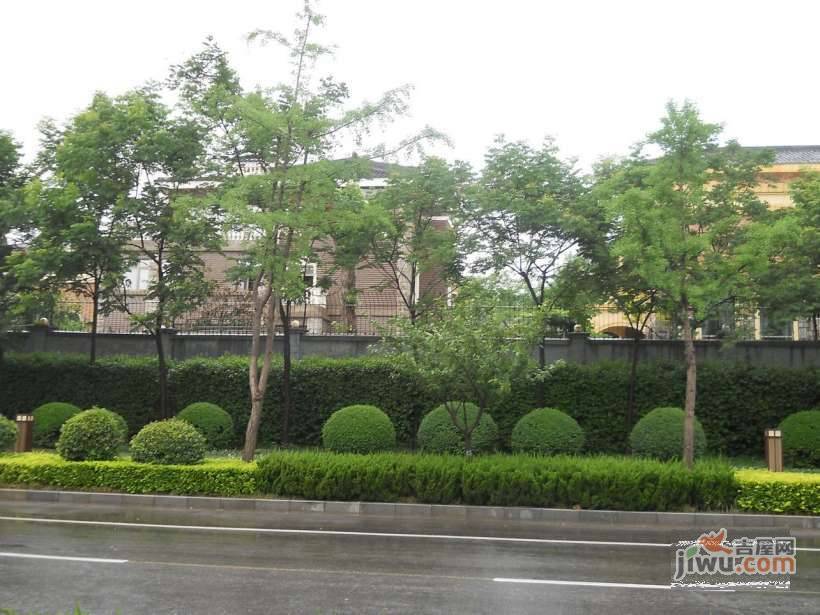 曲江皇家花园实景图图片