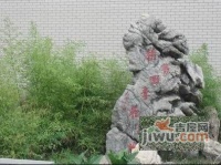 精典四季花园实景图图片