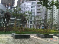 中城国际心岛公寓实景图图片