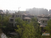 曲江枫林溪园实景图图片