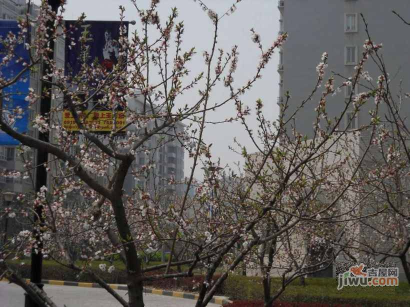 曲江翠竹园实景图图片