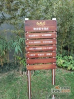 高新红枫林实景图图片