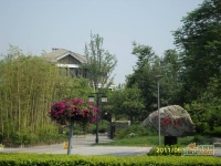曲江枫林溪园实景图图片
