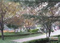 海荣雅庭花园实景图图片