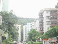 白莲新村实景图图片