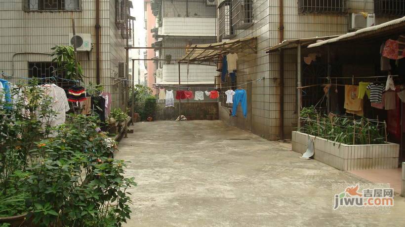 庆业楼实景图图片
