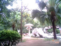 桂华花园实景图图片