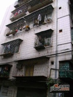 茶基新村实景图2