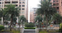 金碧新城实景图图片