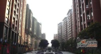 金碧新城实景图图片