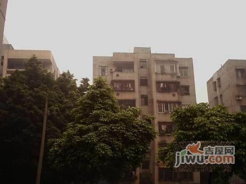 海棠村实景图图片