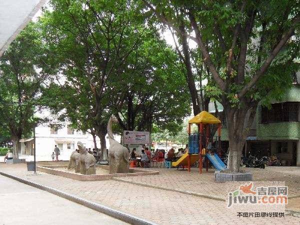 海棠村实景图图片