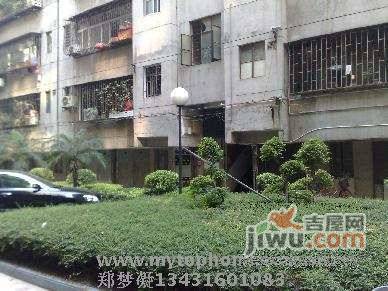 桂花园东区实景图图片