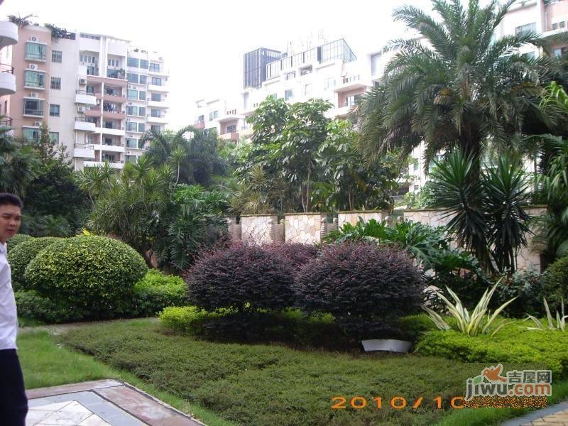 凤岭名都实景图图片