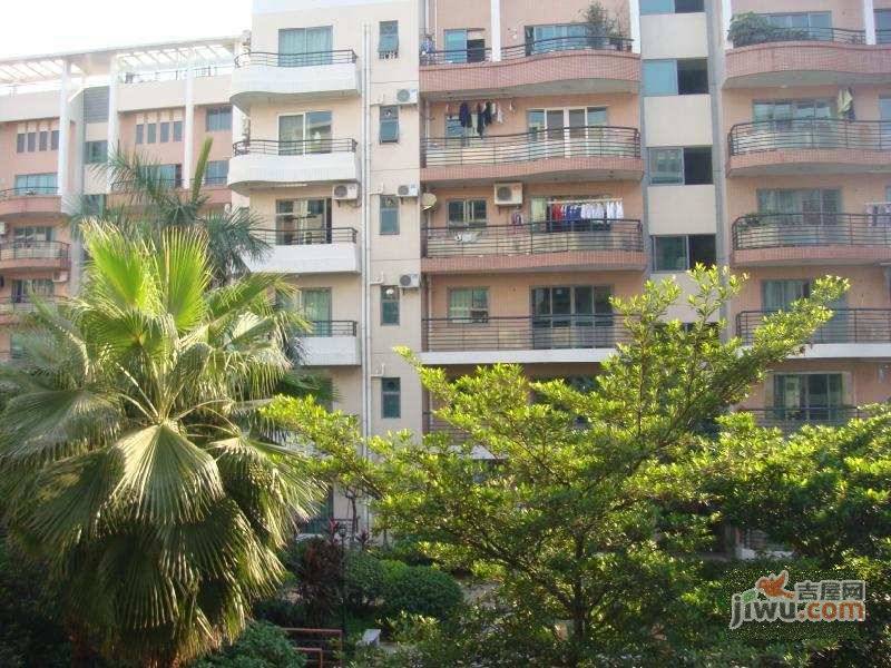 凤岭名都实景图图片