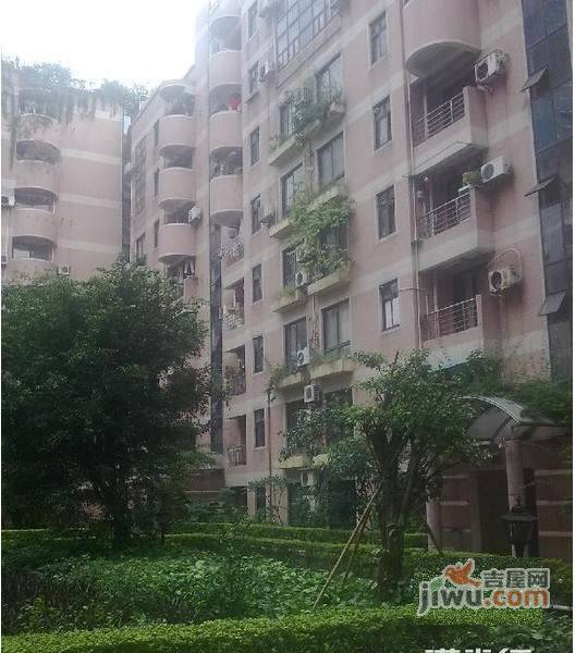骏成花园A区实景图图片
