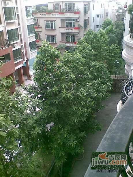 翠庭轩实景图图片