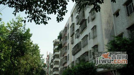 新湖一路小区实景图图片