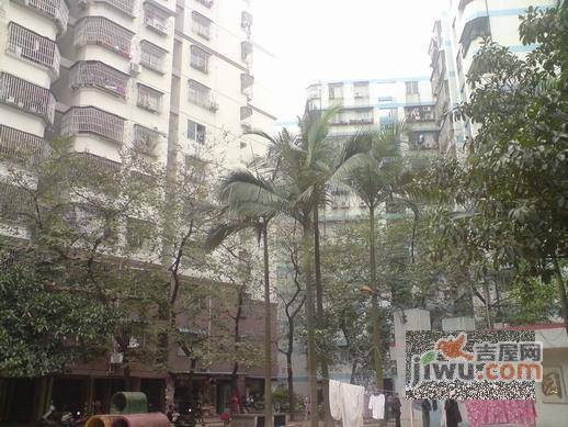 同乐花园实景图图片