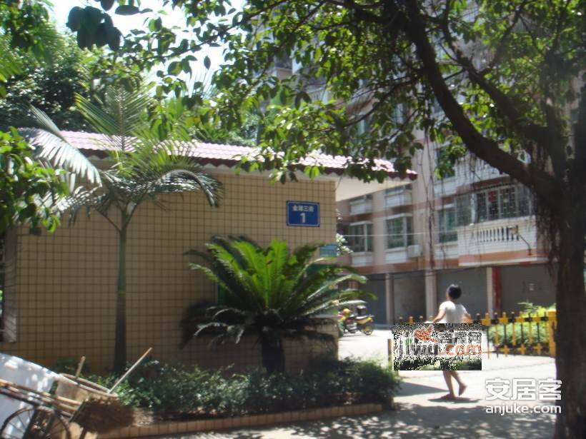 豪景花园实景图图片