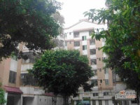 罗村花苑效果图