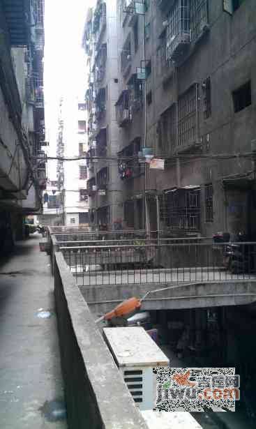 桂江楼实景图图片