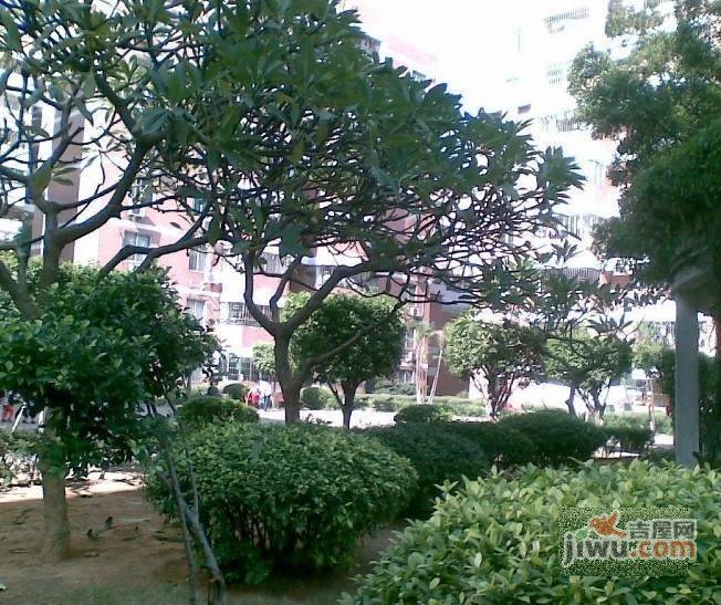 嘉洲花园_佛山嘉洲花园小区怎么样,二手房出售价格信息- 佛山吉屋网