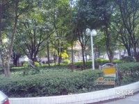 东怡花园实景图图片