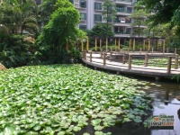 碧海湾实景图图片